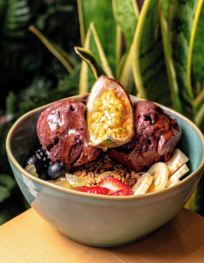 Camelia Brunch Garden - 0