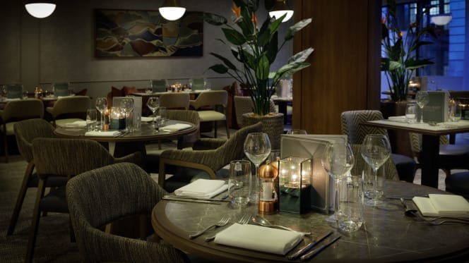 The Writing Room (Bar and Restaurant) - 3