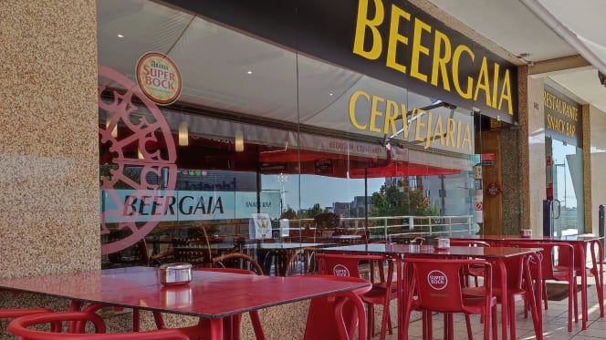 Beergaia Cervejaria - 8