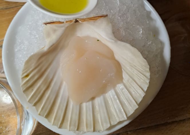 Sapori Solari - La Pescheria - Milano - 1