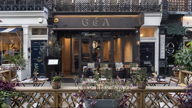 Géa Chelsea - 0