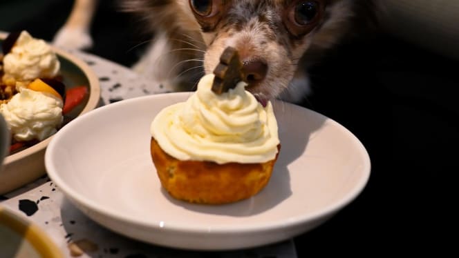 Sip & Bark - 3