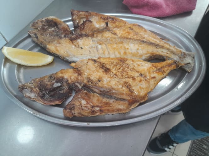 Original’s Casa de Peixe - 0