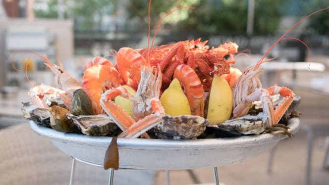 Le Roy René - Brasserie avec Terrasse – Fruits de Mer & Poissons - 5