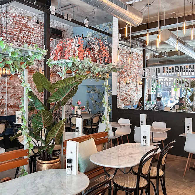 Teds Eindhoven Nieuwstraat - 0