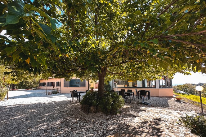 Agriturismo La Meria - 9