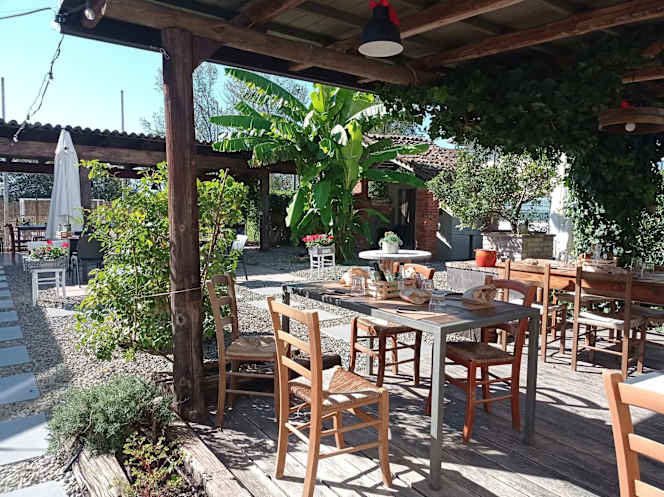 Il Pollo Scatenato - 5