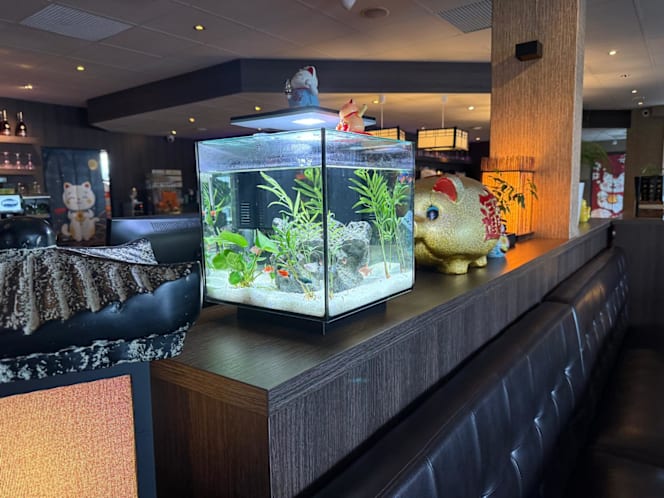 Mori Kitchen Sushi & Grill Restaurant - 1