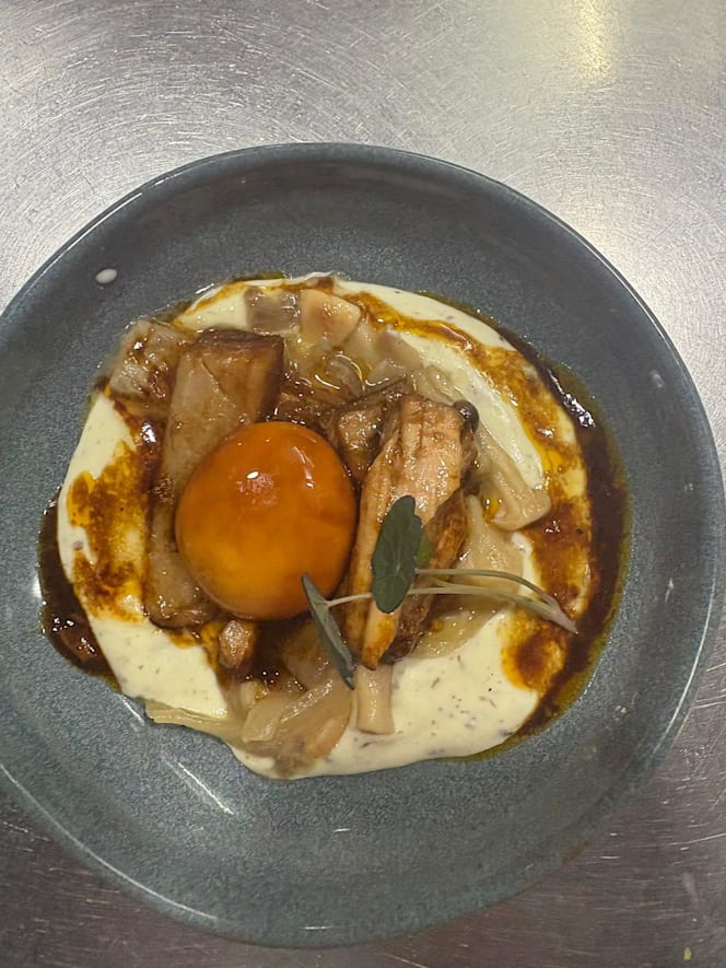 Teo Gastroespacio - 4