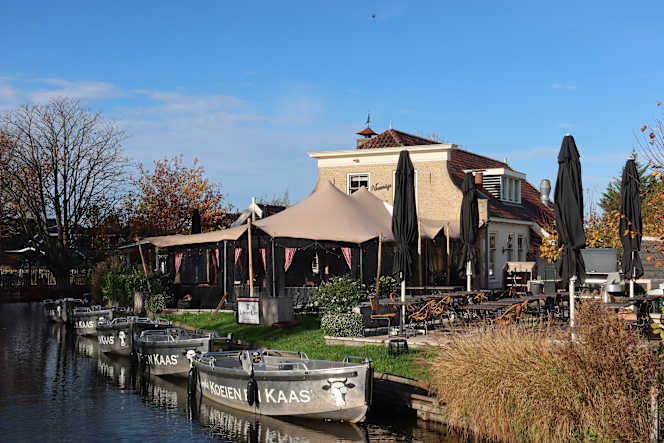 Koeien en Kaas aan de Plas / Kühe und Käse - 4