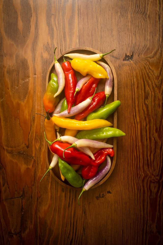 Apus Festines y Fieras - 3