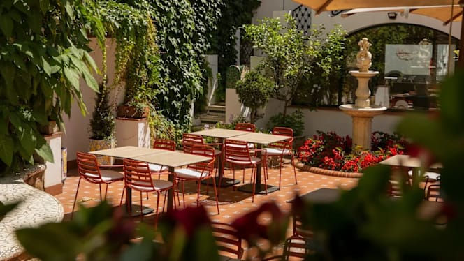La Terraza del Diana - 8