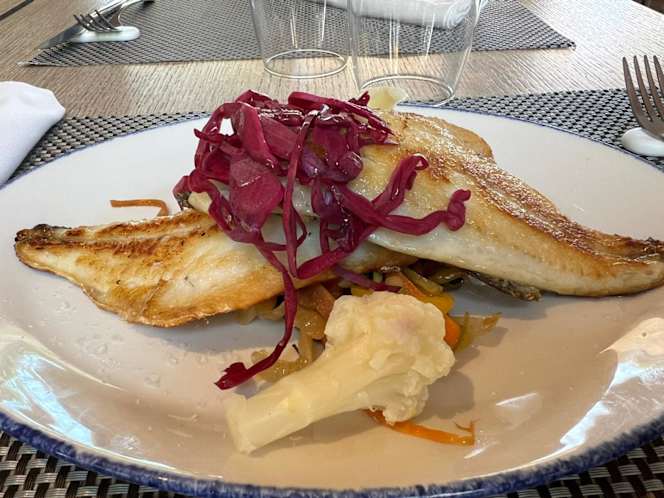 La Terraza del Diana - 4