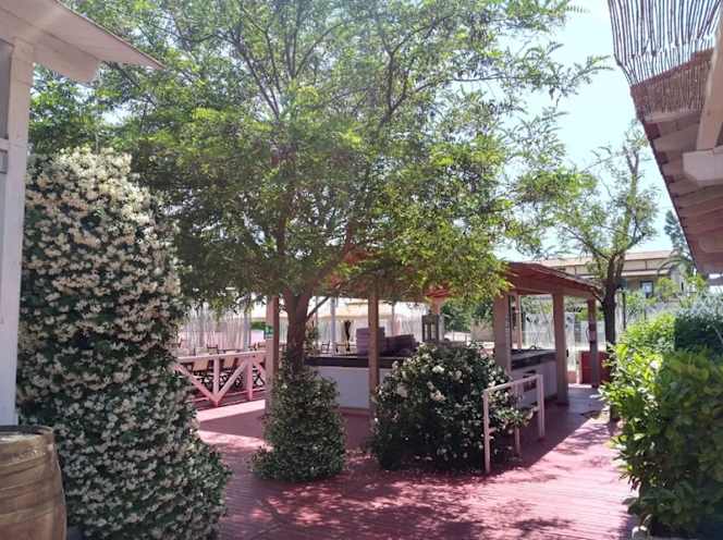 Magic country Stamagic - 2