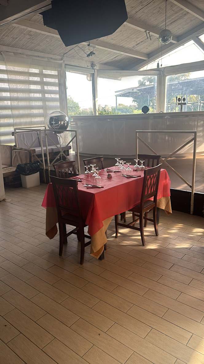 Magic country Stamagic - 3