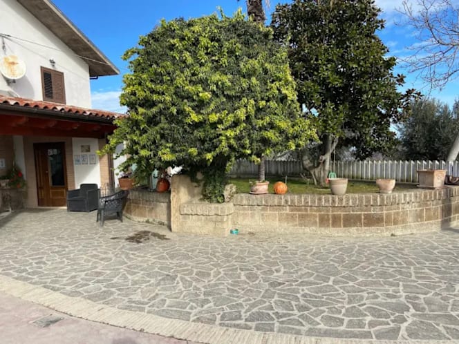 Agriturismo La Collina Dei Fichi - 4