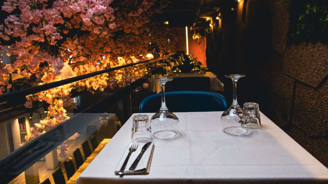 Taj Mahal - Ristorante - 7