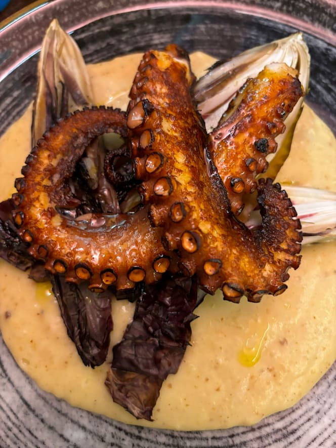 Casa Dama - Brace and Spirits - 6