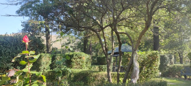 Agriturismo Villa Mirto - 2
