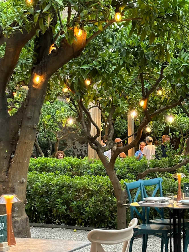 Nook Urban Garden - 5