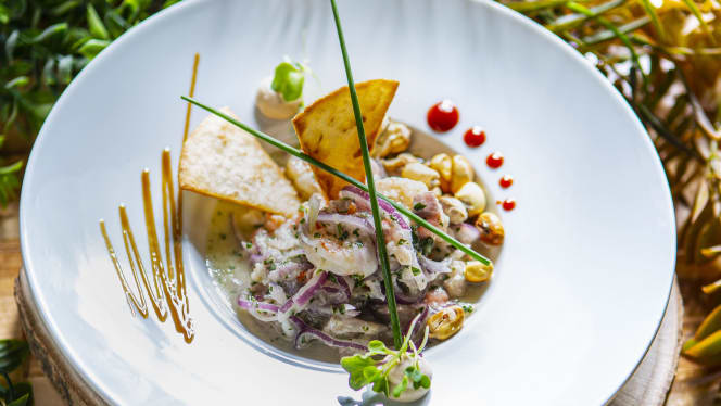 Origen Tapas Concept - 2