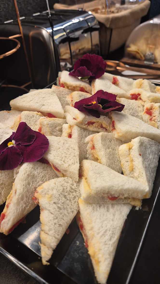 Vis Lounge Cafè - 1