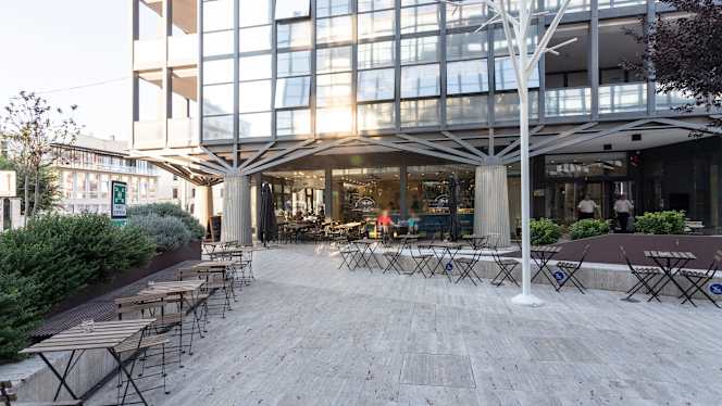 Salotto Morgagni - 6