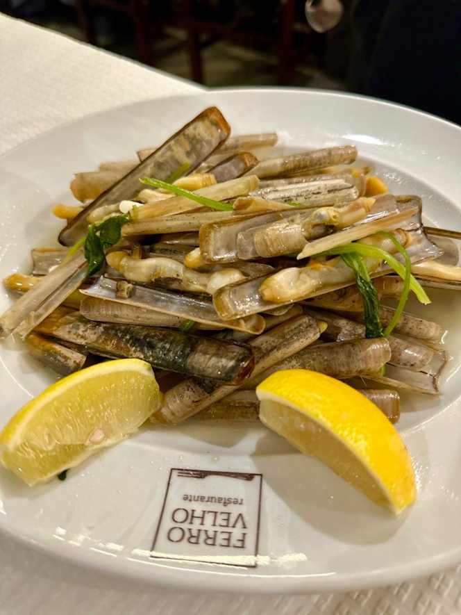 Ferro Velho - Amora - 3