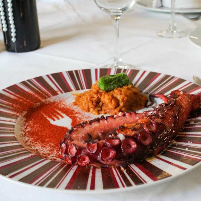 La Cotorra de Pepita - 6