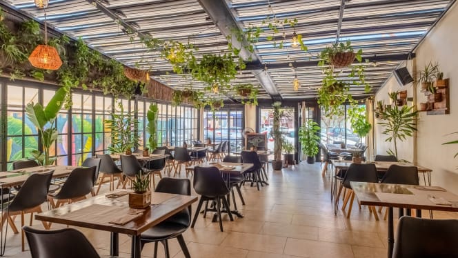 Baobab Soul Kitchen & Bar - Alicante (Alacant) - 0