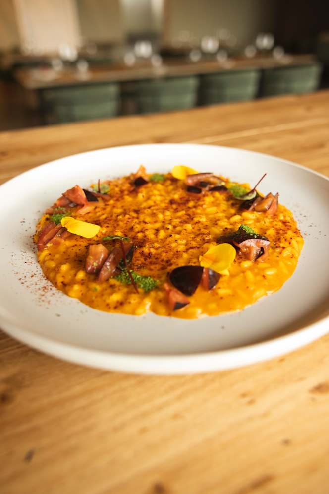 Cascina Leva L'agriturismo - 8