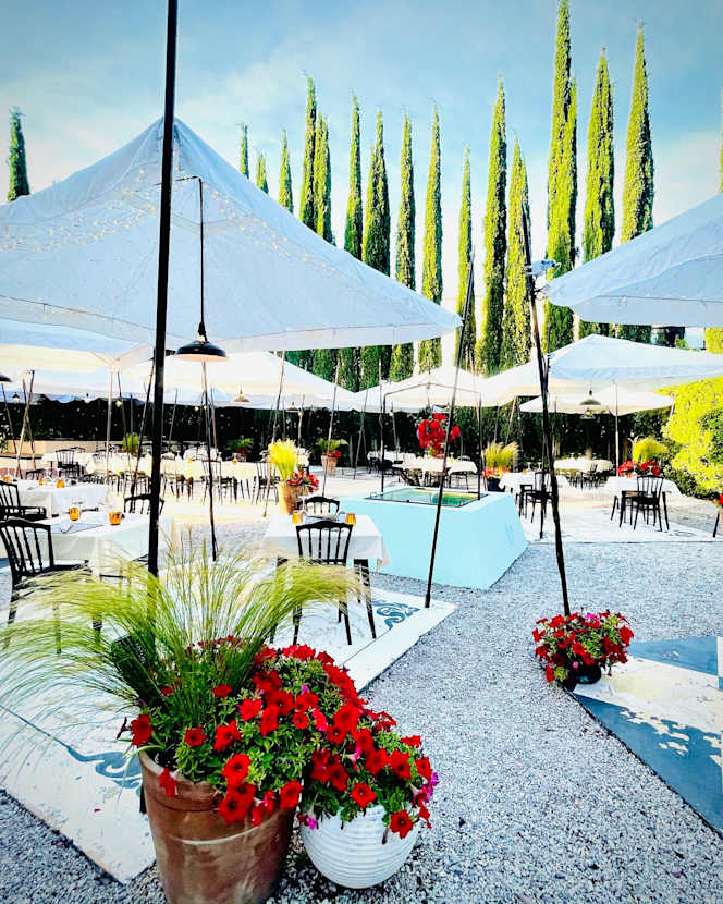 Tano - Grano & Brace - 1