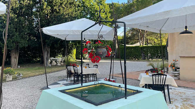 Tano - Grano & Brace - 2