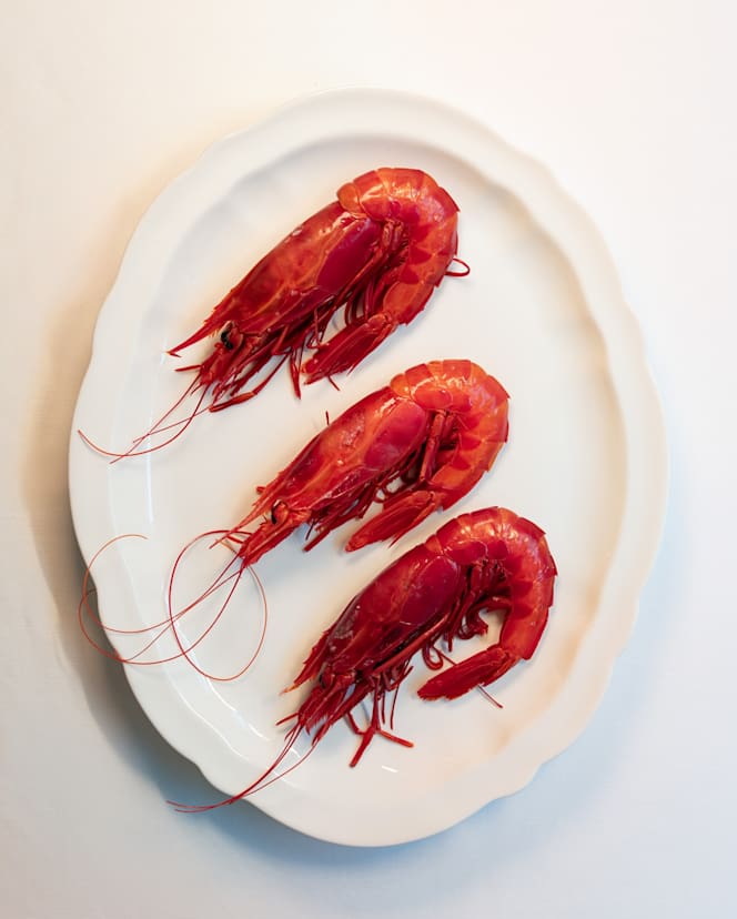 Orla Marisqueira - 6