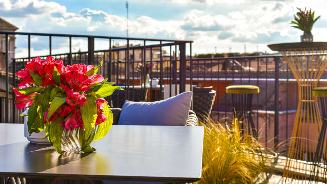 Terrazza Navona - 0