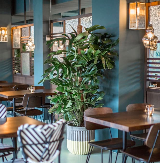 Urban Spice - Opfikon - 0