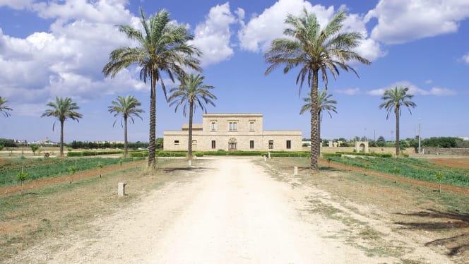 Masseria Galatea Agriturismo - 2