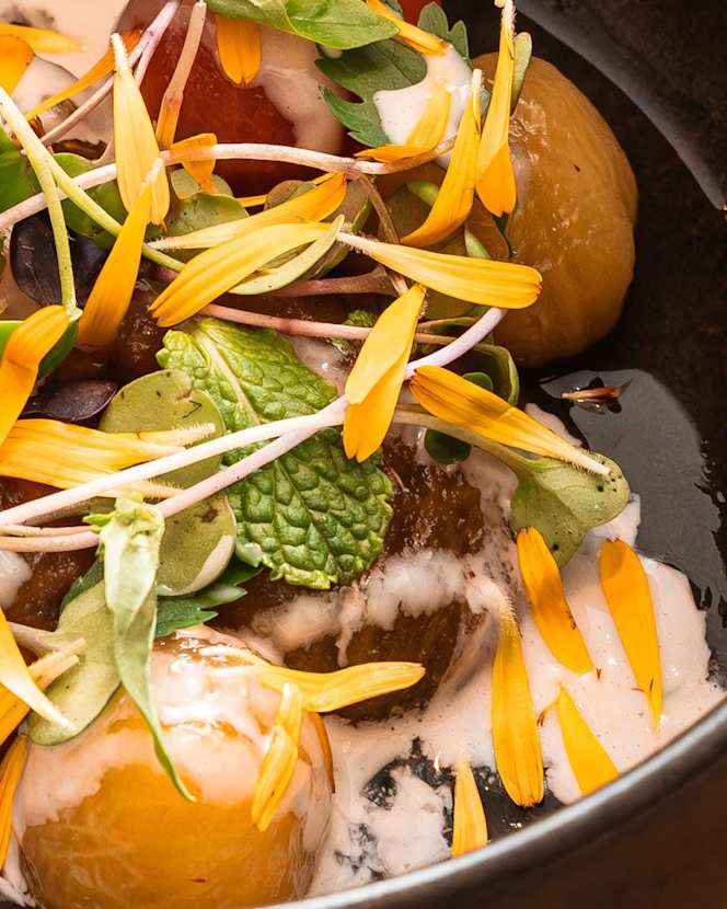 Sanabria - Típicamente Santa Cruz - 1