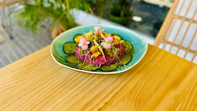 MIMO Vegan - 8