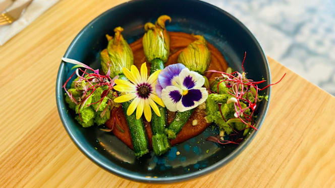 MIMO Vegan - 4