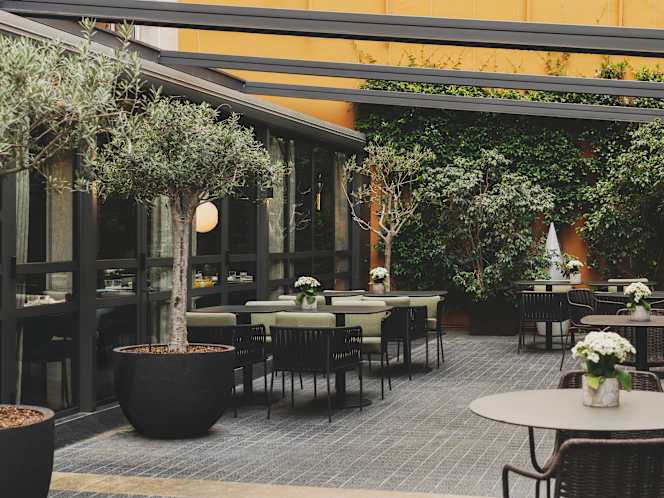 Sintonía - Hotel Catalonia Boulevard - 2