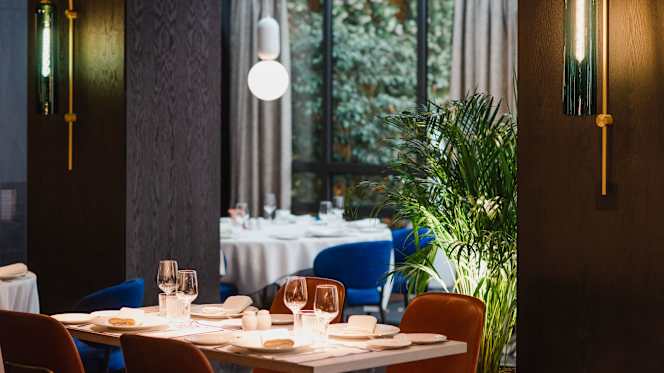 Sintonía - Hotel Catalonia Boulevard - 3