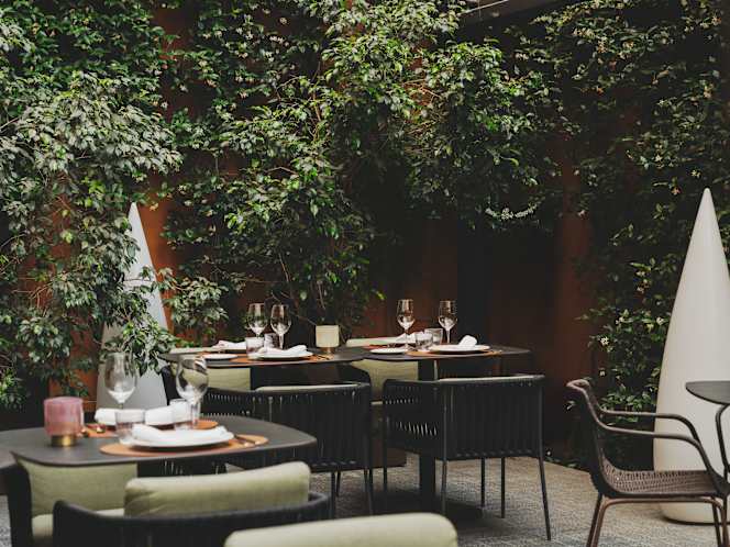 Sintonía - Hotel Catalonia Boulevard - 1