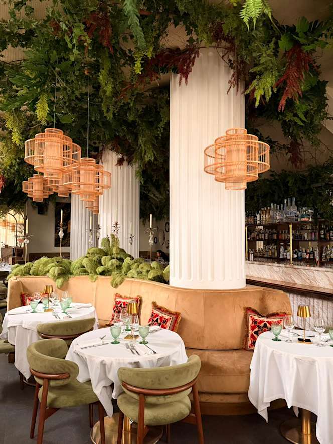 DOMUS Garden Club - 0