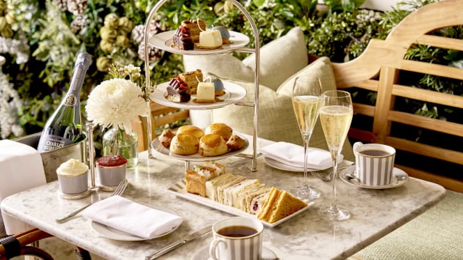 Dalloway Terrace - 7