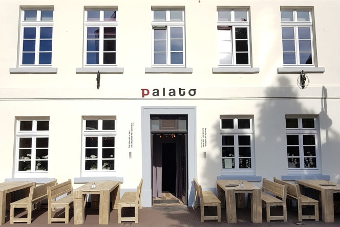 Palato - 3