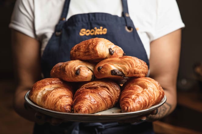 Sookie - 7