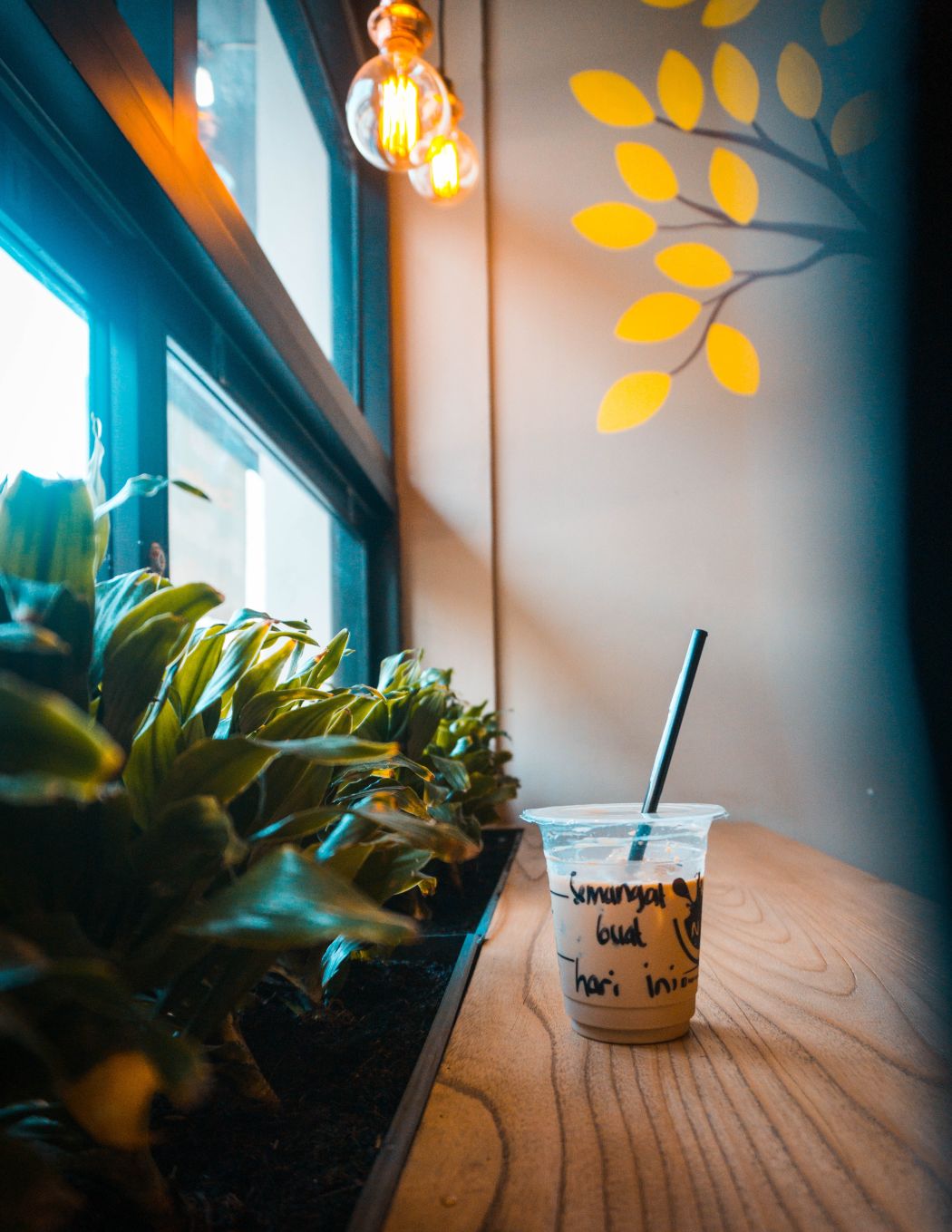 Protein Starbucks Treat
