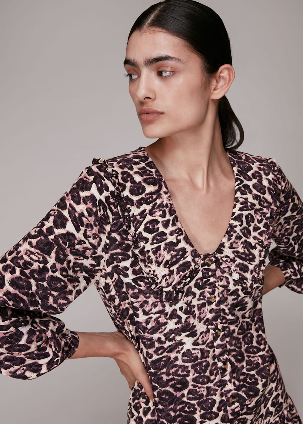 Leopard Print Clouded Leopard Collar Dress WHISTLES Whistles UK