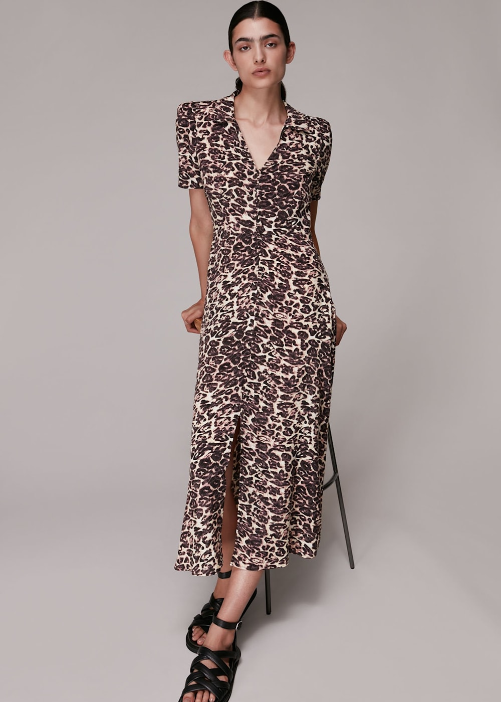 Whistles rowan print lola dress 2025